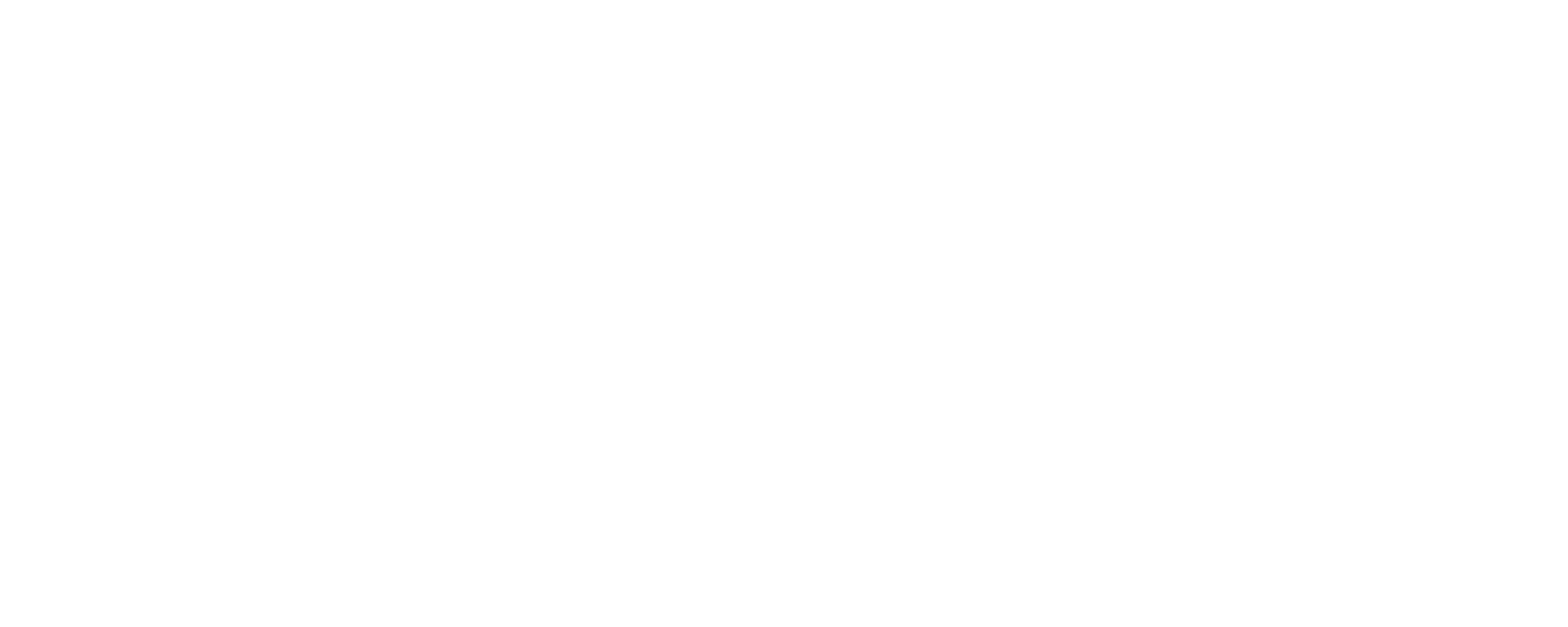 Istanbul VIP Transfer